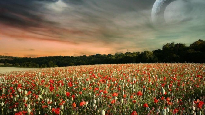 美国真会下场对伊朗开战吗？